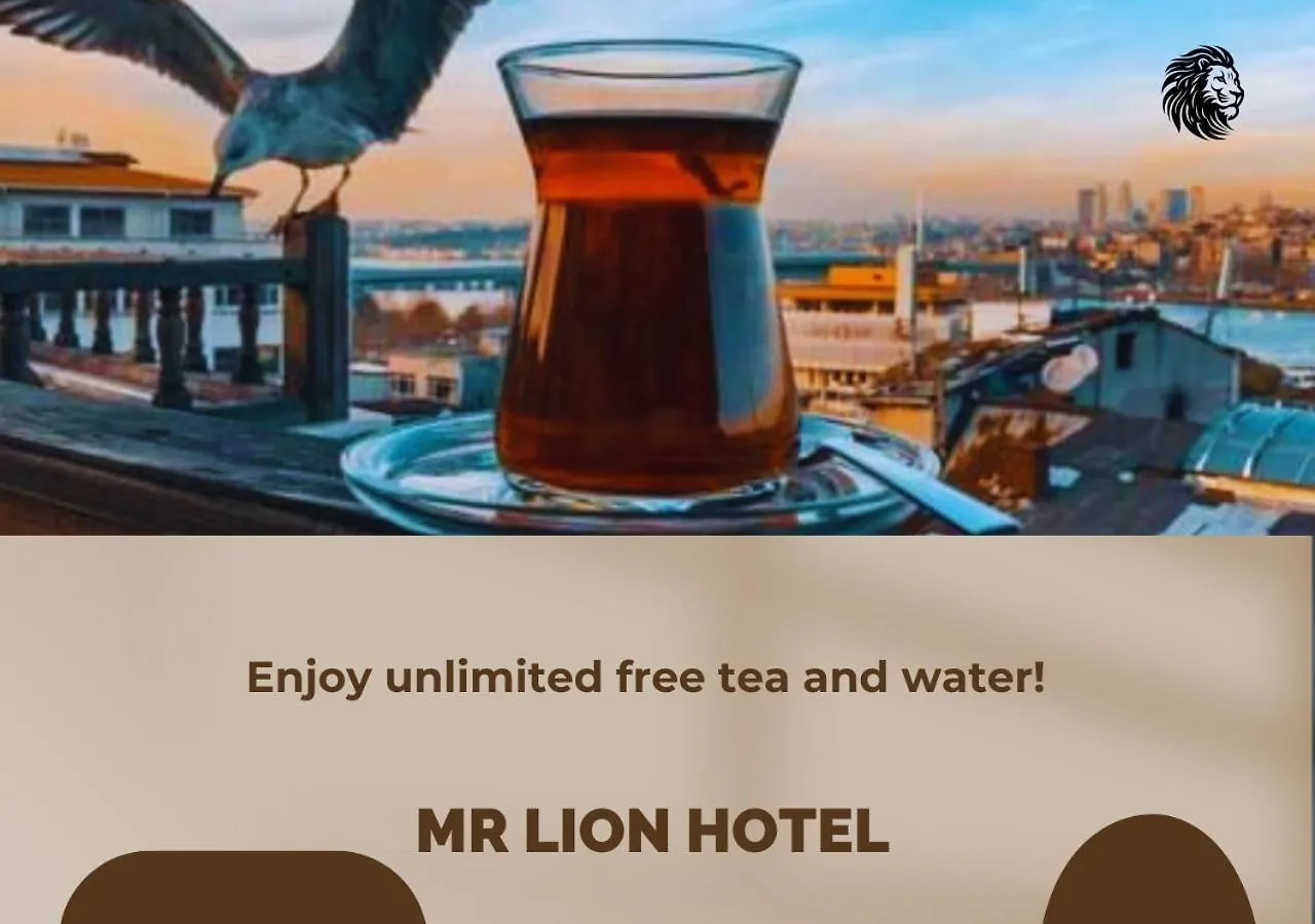 Mr Lion Kumkapi Otel Stambuł Turcja