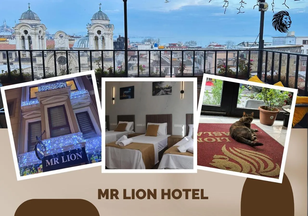 Mr Lion Kumkapi Otel Provincia di Provincia di Istanbul