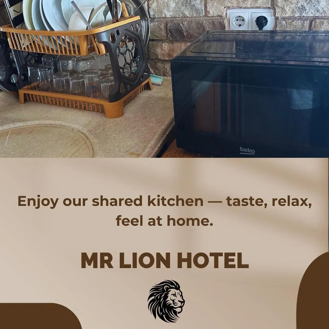 Mr Lion Kumkapi Otel 伊斯坦布尔 0*,  土耳其