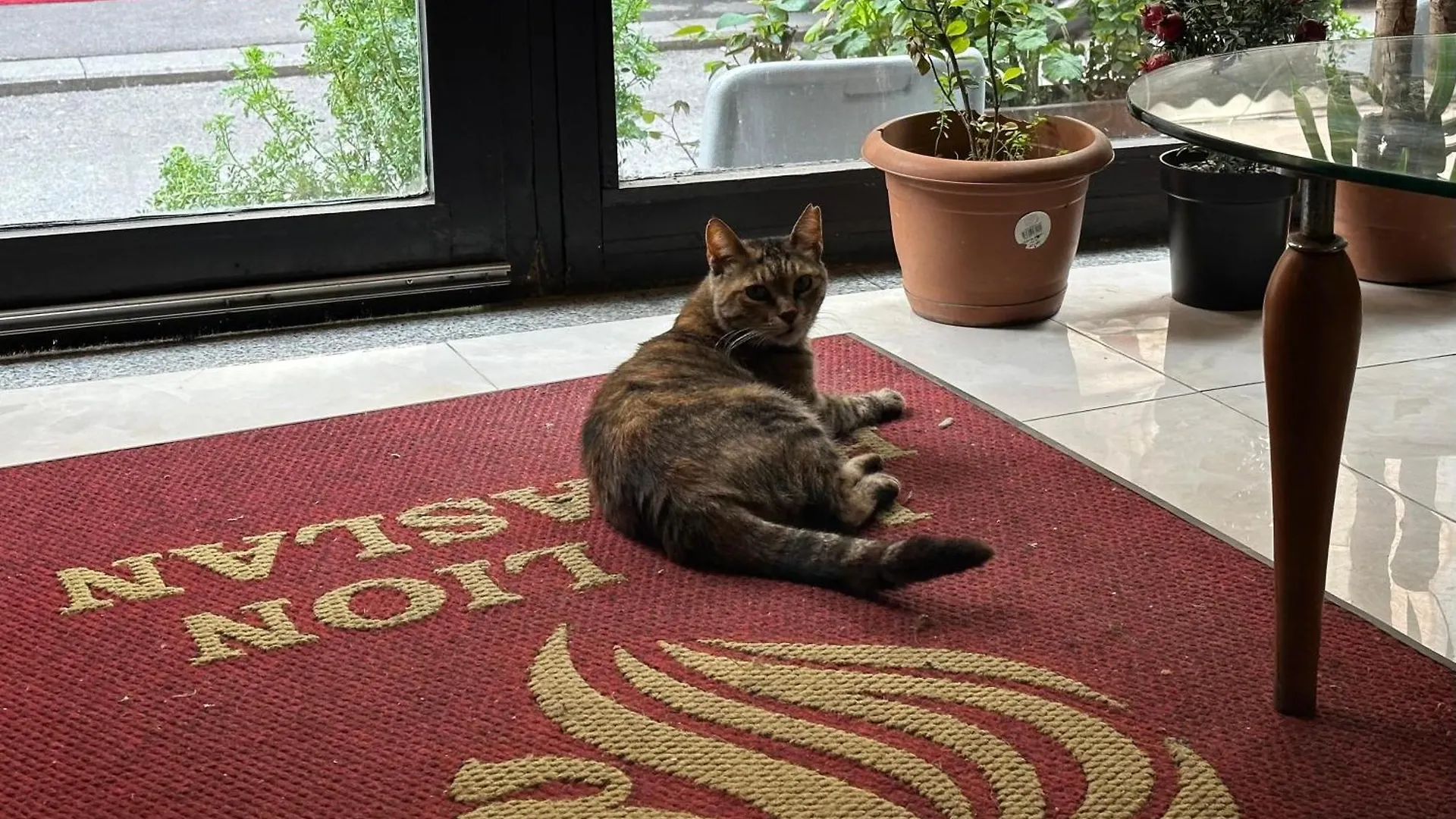 Mr Lion Kumkapı Otel İstanbul